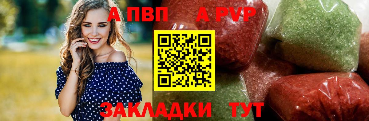 Альфа ПВП СК Кизилюрт