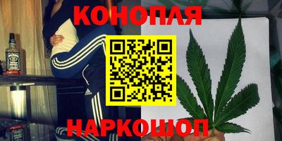 шишки Гусев