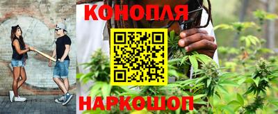 дурь Гусиноозёрск