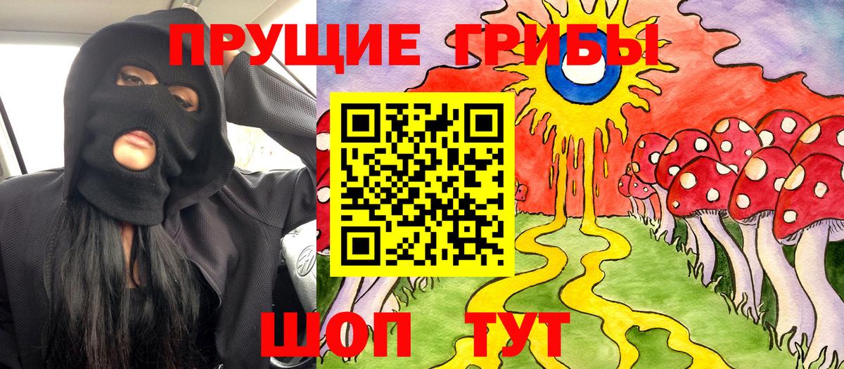 Кизилюрт  Галлюциногенные грибы MAGIC MUSHROOMS  Псилоцибиновые грибы Psilocybine cubensis  Вход с VPN 