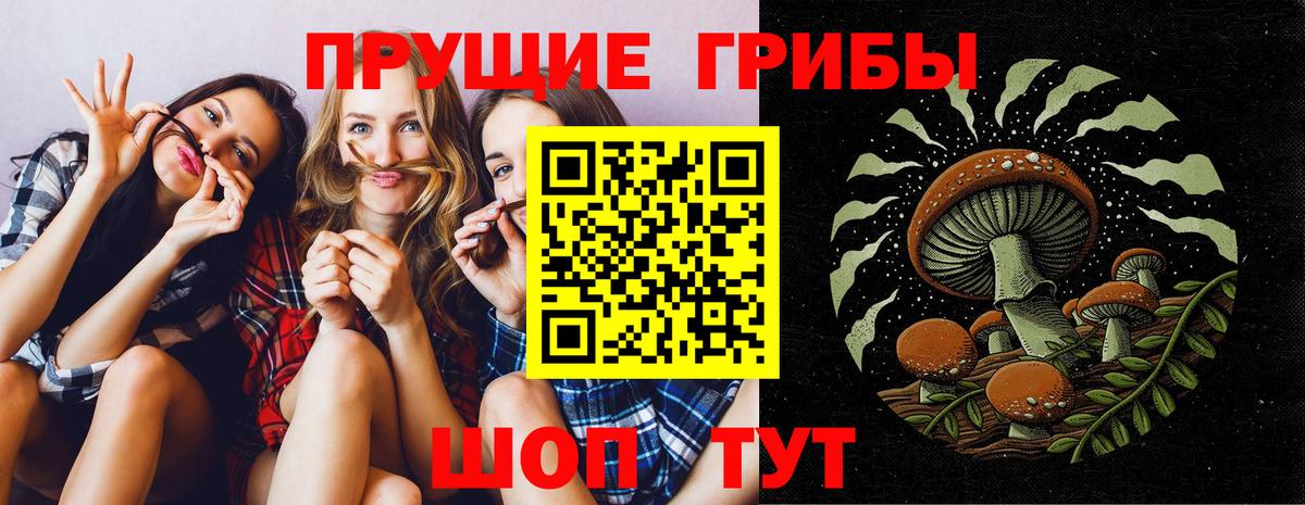 Псилоцибиновые грибы мицелий Кизилюрт