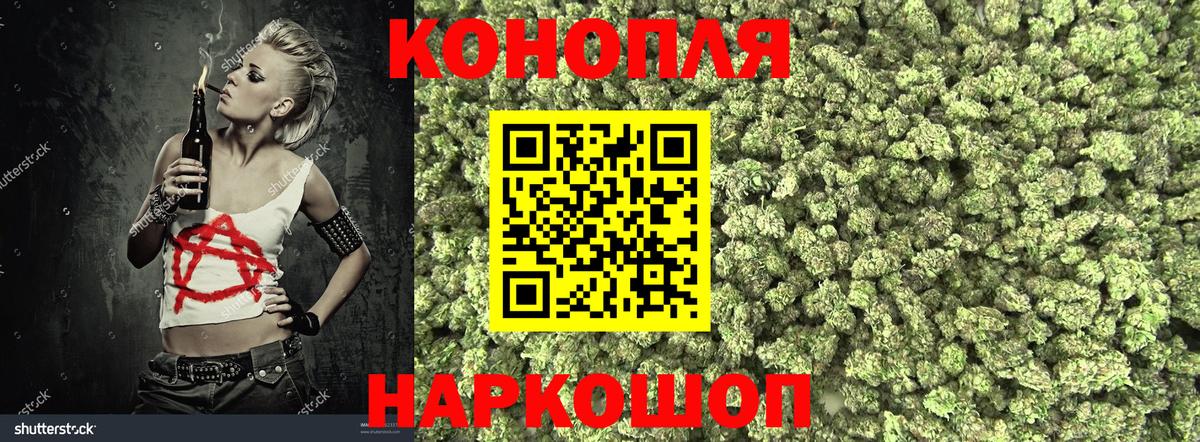 Конопля ГИДРОПОН Кизилюрт